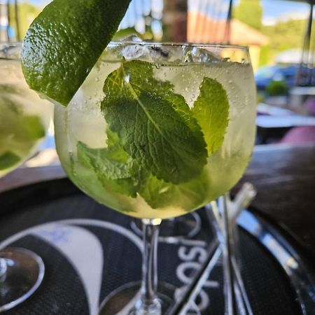 Pensiunea Campia Soarelui Apa Neagră エクステリア 写真