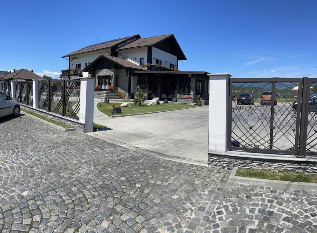 Pensiunea Campia Soarelui Apa Neagră エクステリア 写真