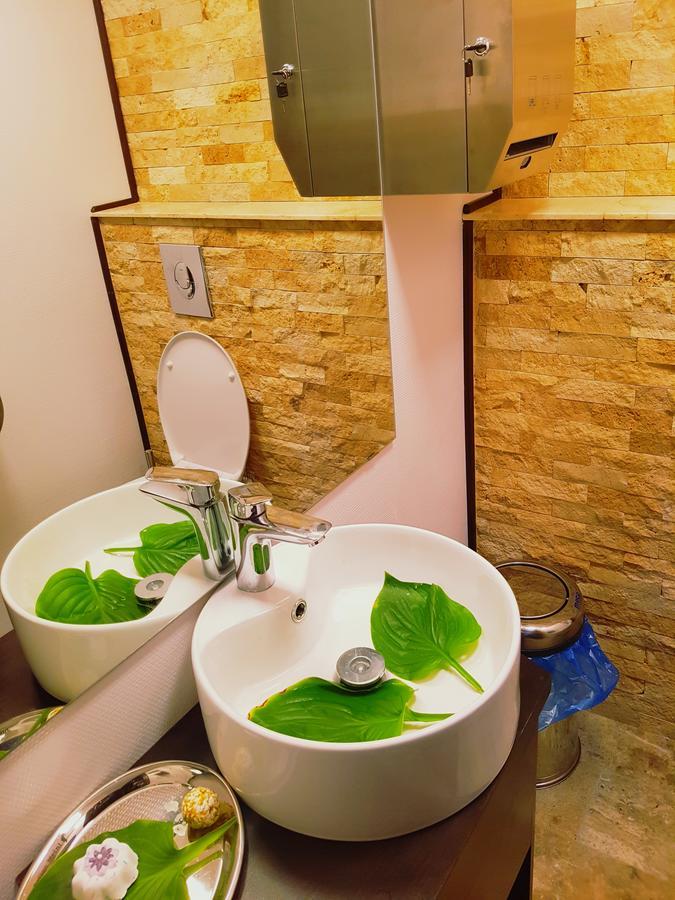 Pensiunea Campia Soarelui Apa Neagră エクステリア 写真