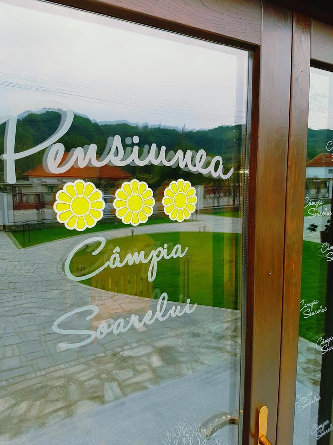 Pensiunea Campia Soarelui Apa Neagră エクステリア 写真