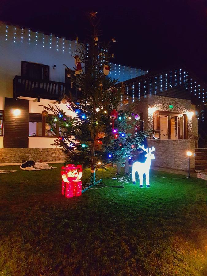 Pensiunea Campia Soarelui Apa Neagră エクステリア 写真